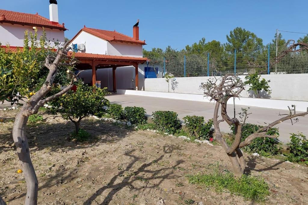 Willa Aleyna House Lindos Area Zewnętrze zdjęcie